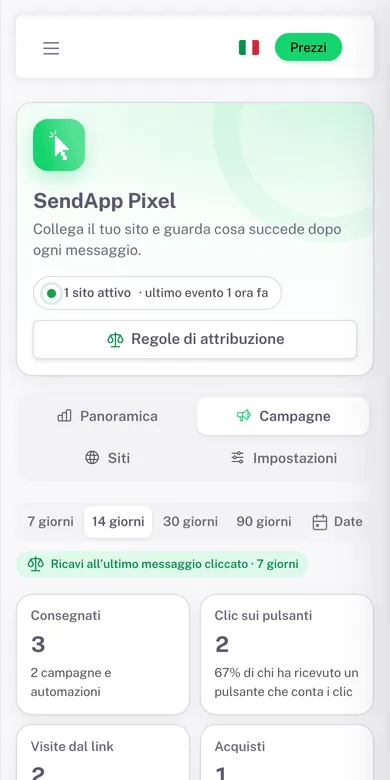 Campagne con clic, visite, acquisti, ricavi e ROI